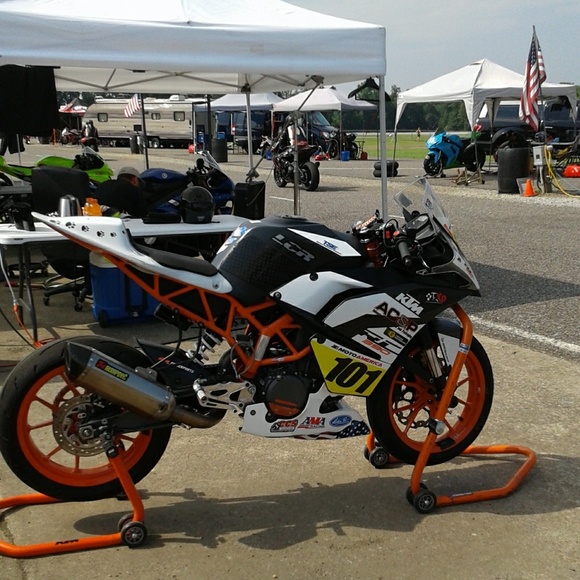 Meet your Posher, Suzi - Picture 3 of 5